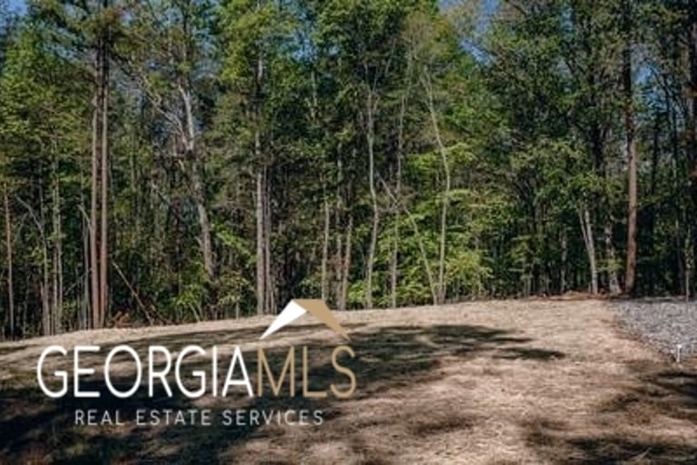 247 Alamo Trl, GA 30560 Opendoor