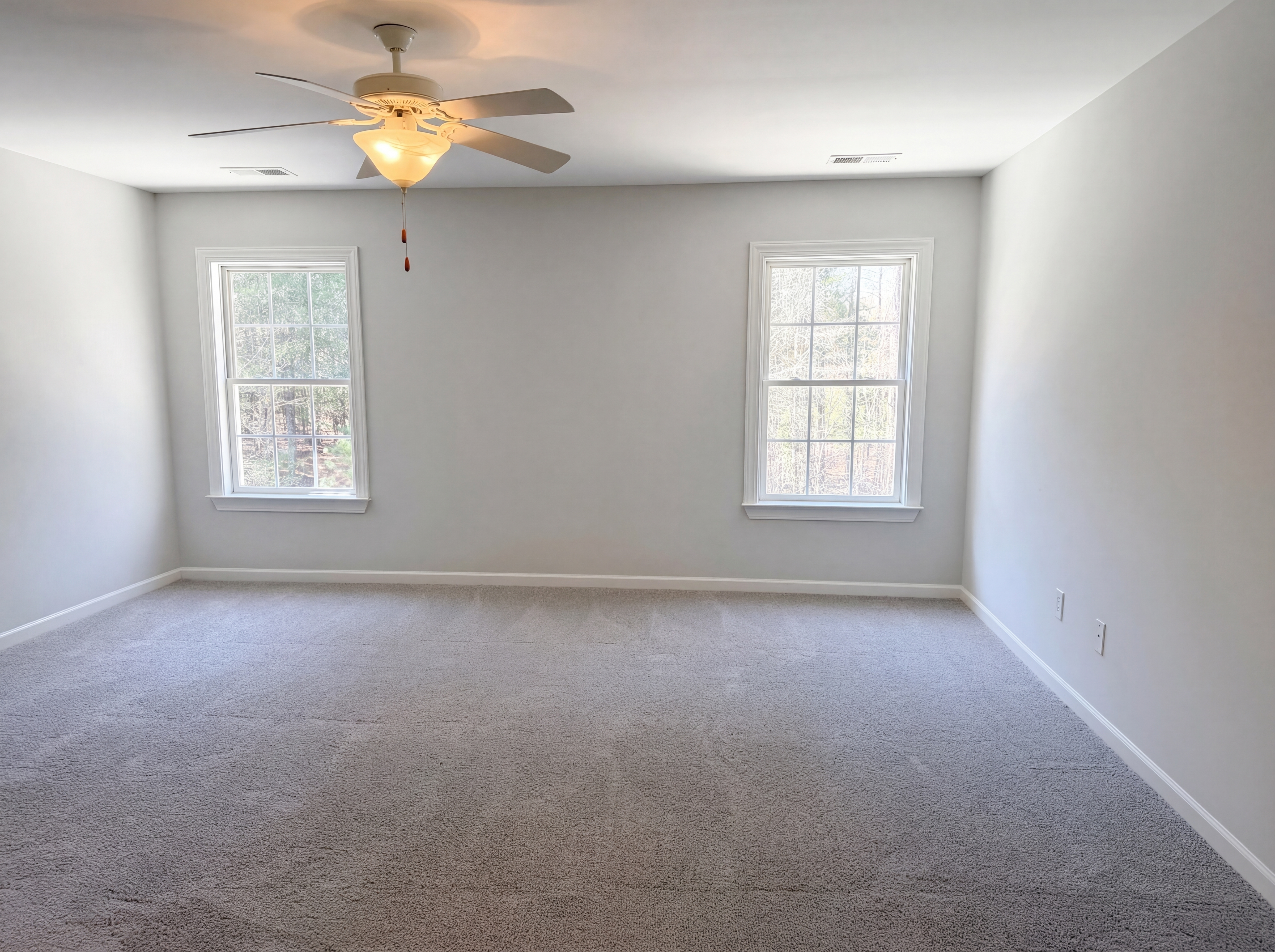 Photo 24 of 30 of 852 Indian Fork Rd, Chapin, SC