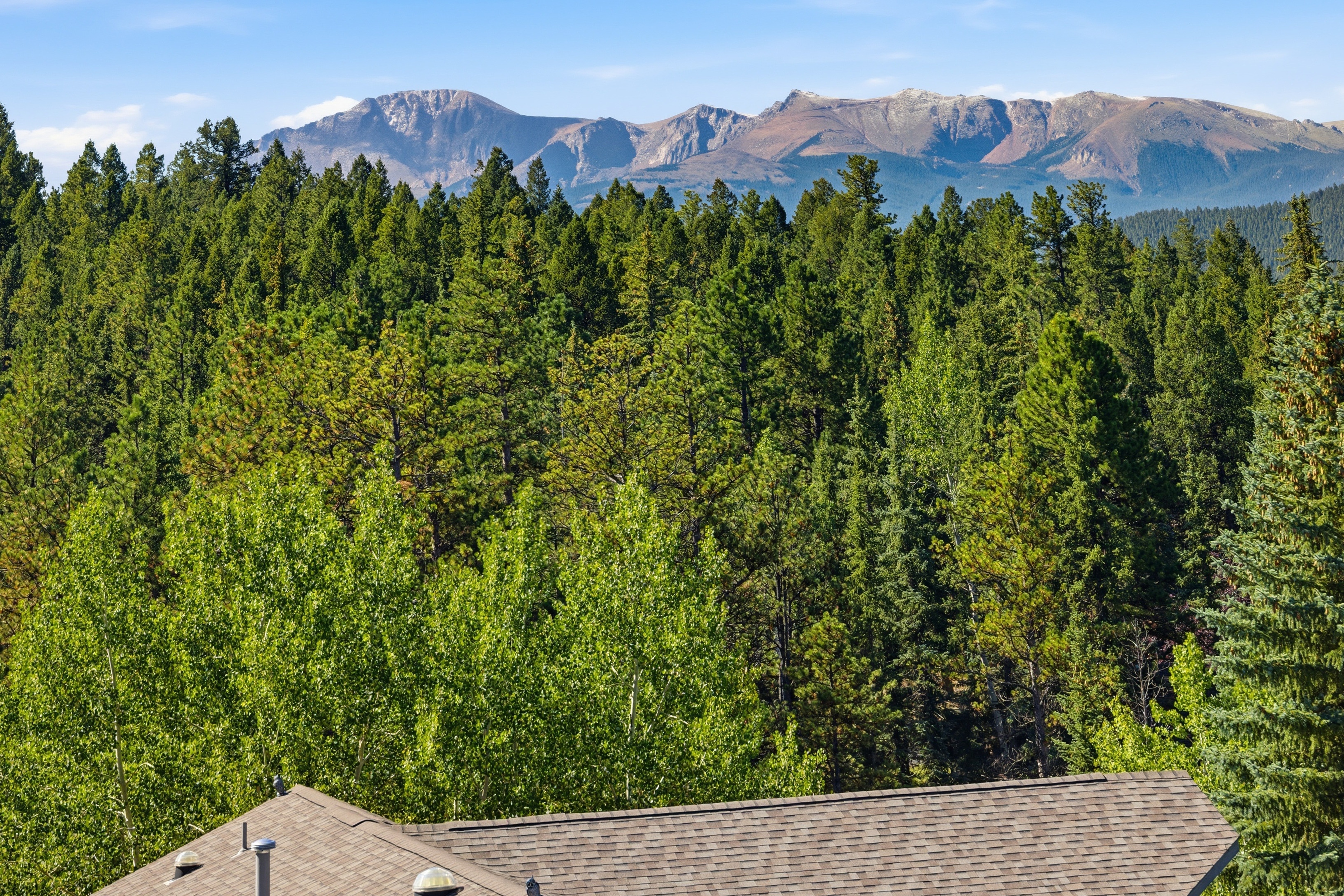 Photo 4 of 63 of 449 Oxford Ln, Woodland Park, CO