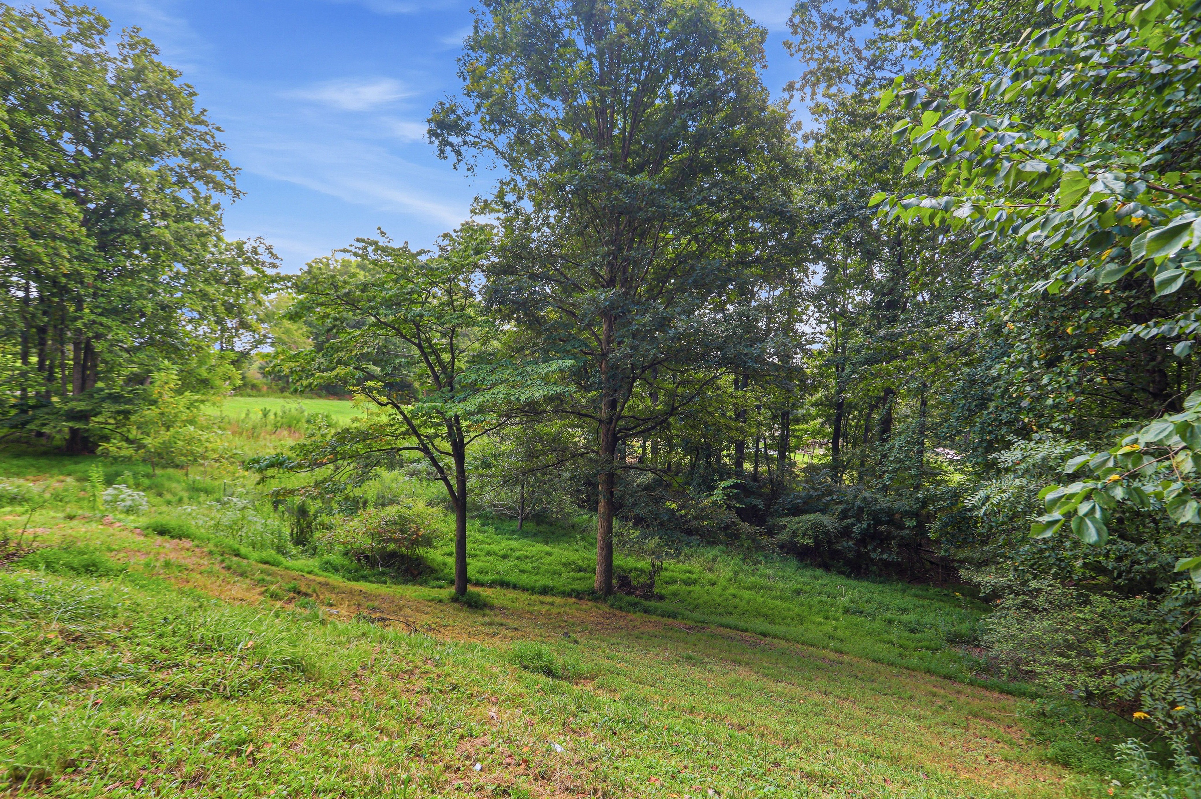 Photo 45 of 50 of 1336 Fate Conn Rd, Canton, GA