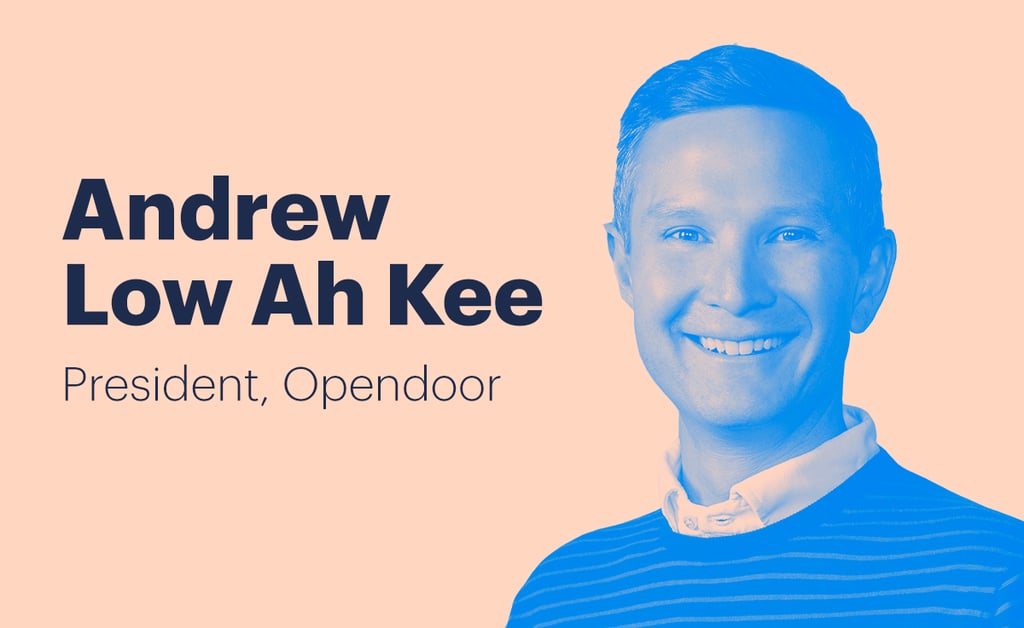 Andrew Low Ah Kee joins as Opendoor president