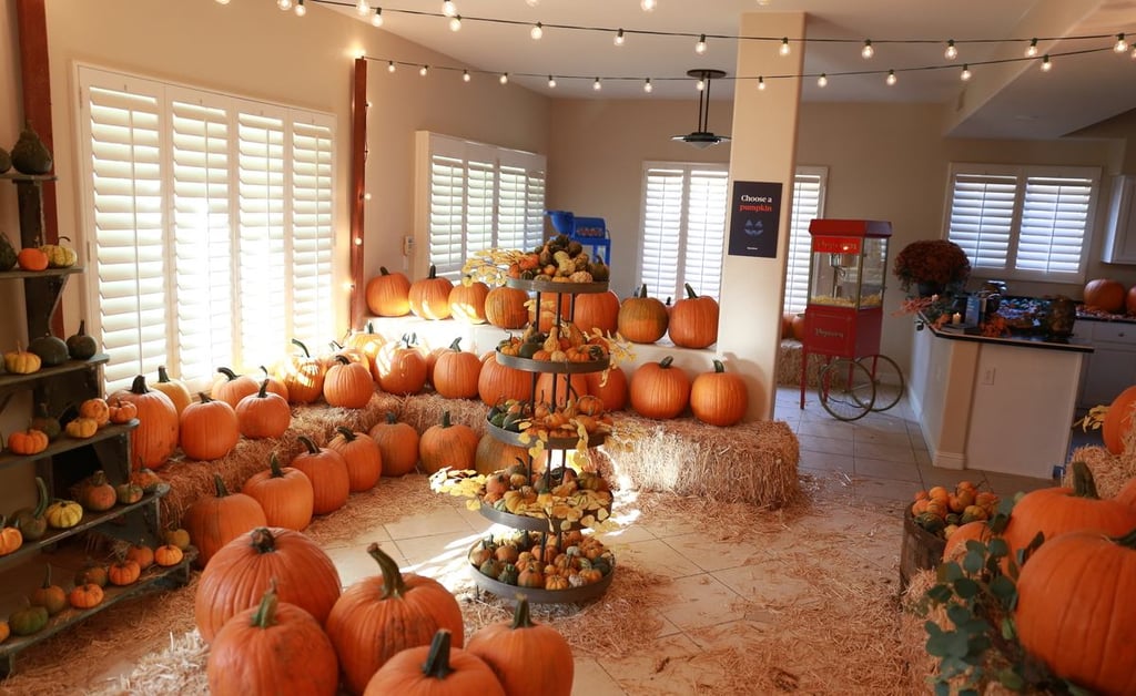 Thanks for coming to Opendoor’s in-home pumpkin patch!