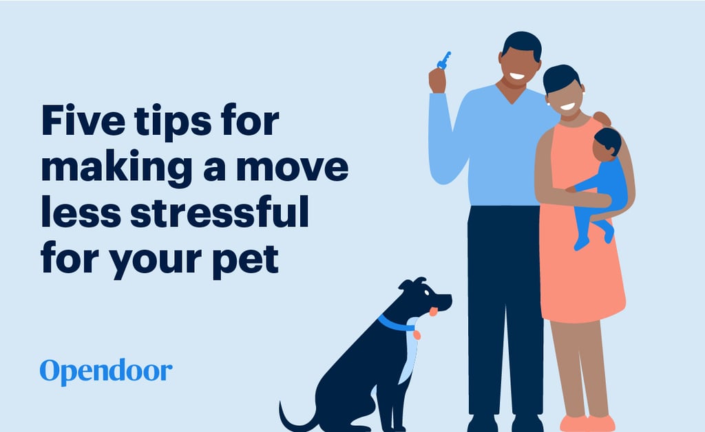 Five tips for making a move less stressful for your pet