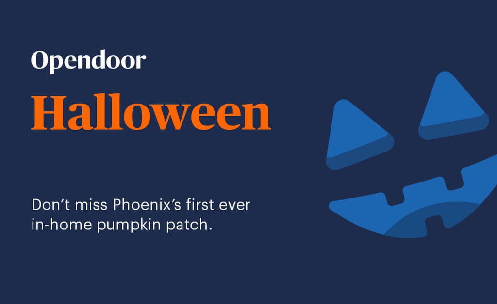 Oh. My. Gourd. An in-home pumpkin patch in Phoenix?!