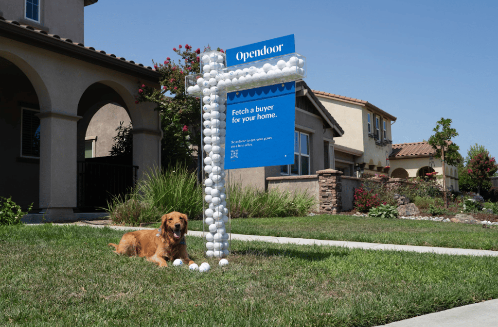 An Opendoor real estate broker shares her best tips for moving with dogs.